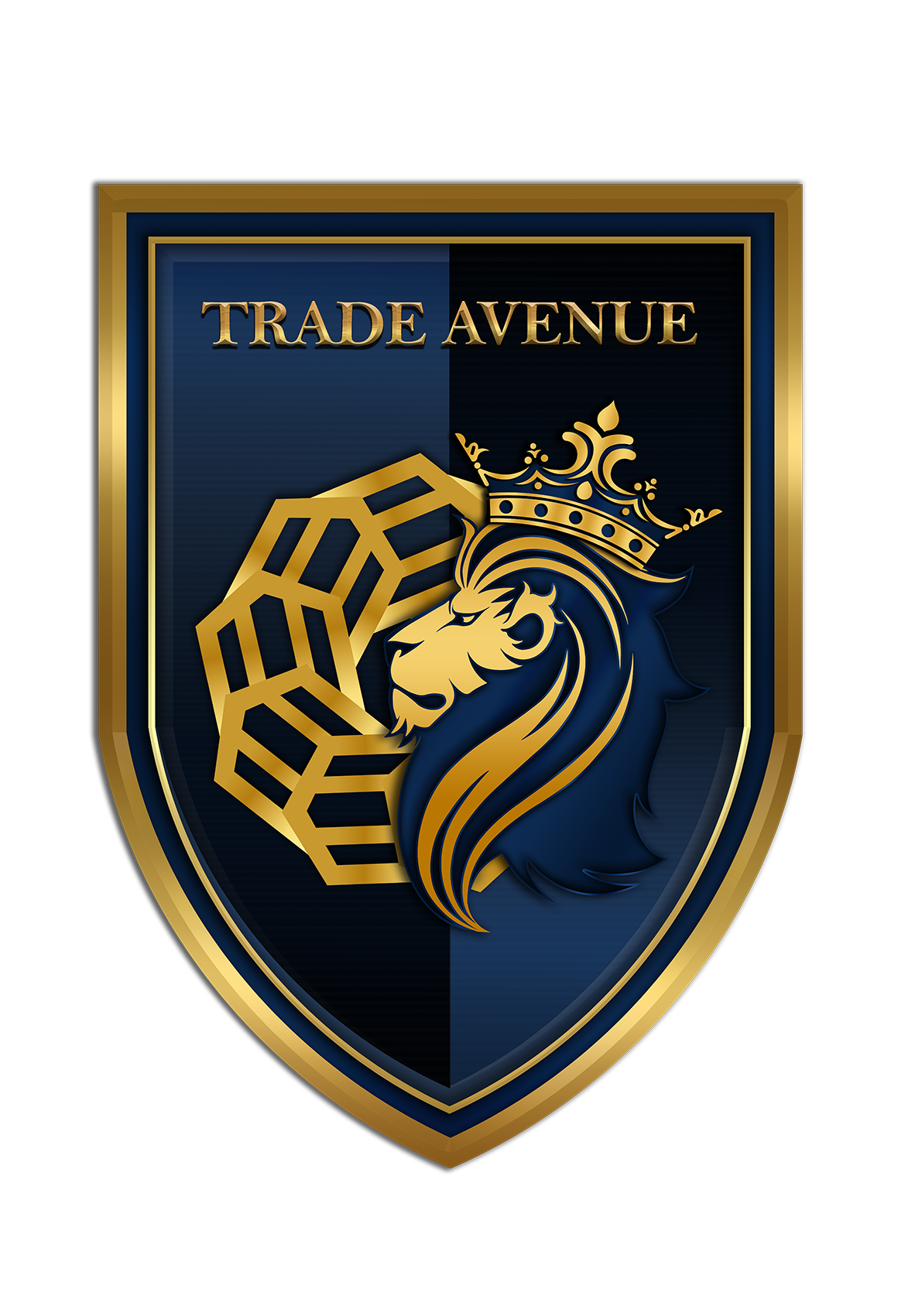 شرکت همکار ۱